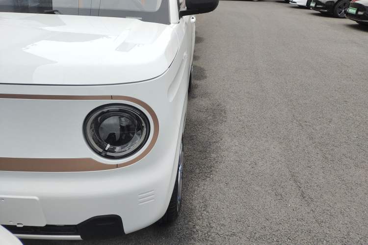 Used  Panda 2024 Panda Mini 200km Endurance Bear
