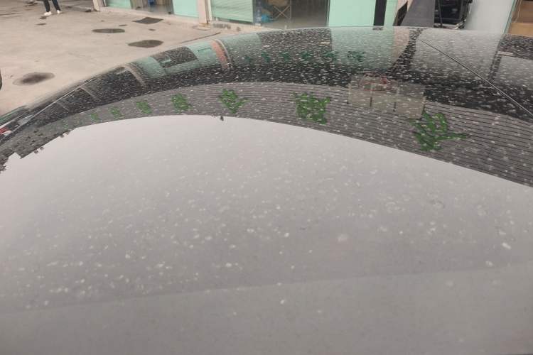 Used Tesla Model 3 2021 Standard Range Rear-Wheel Drive Upgraded Version 3D6
