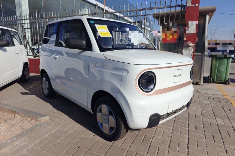 Used  Panda 2025 210 km – Yuanqi Bear