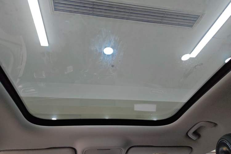 Used  #1 2023 Pro Edition
