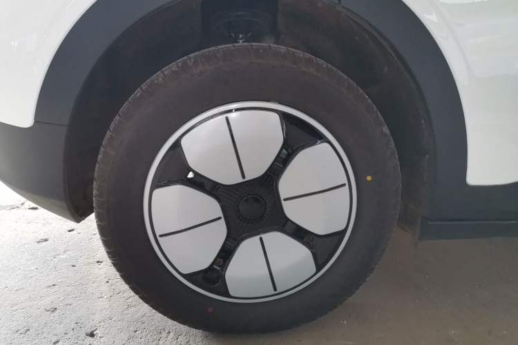 Used  Geome 2025 310km Youth Edition