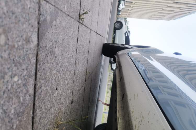 Used ORA Black Cat 2022 351 km Standard Version Ternary Lithium
