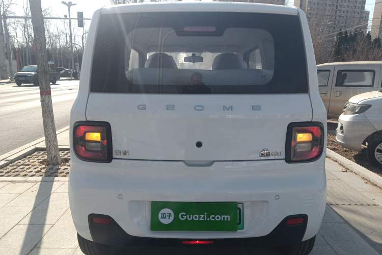 Used  Panda 2024 Panda Mini 200km Endurance Bear