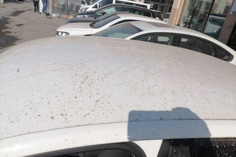 Used Volkswagen Santana 2021 1.5L Automatic Fashion Edition