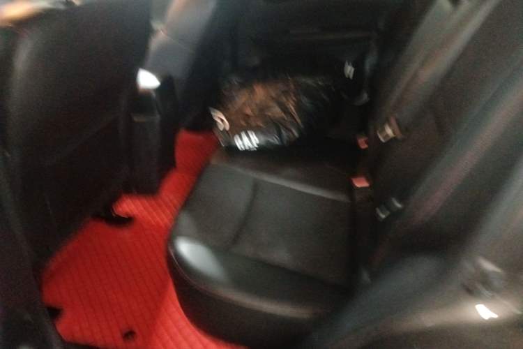 Used Nissan Qashqai 2017 2.0L CVT Luxury Edition China V Standard