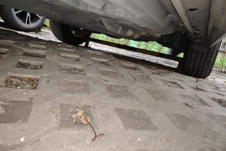 Used Lexus RX 2016 300 Two-Wheel Drive Elite Version China V Standard
