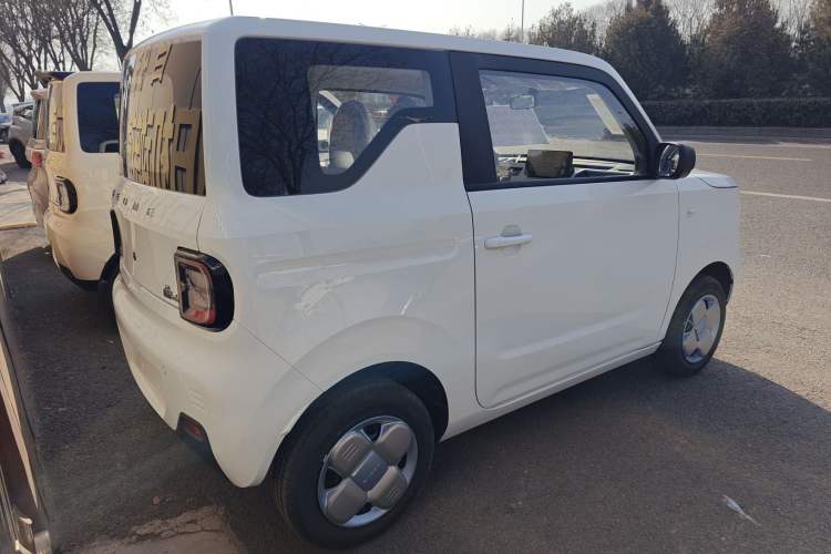 Used  Panda 2024 Panda Mini 200km Endurance Bear