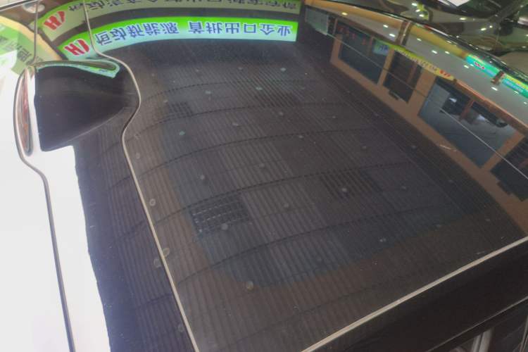 Used  06 2025 Max Extended-Range Edition
