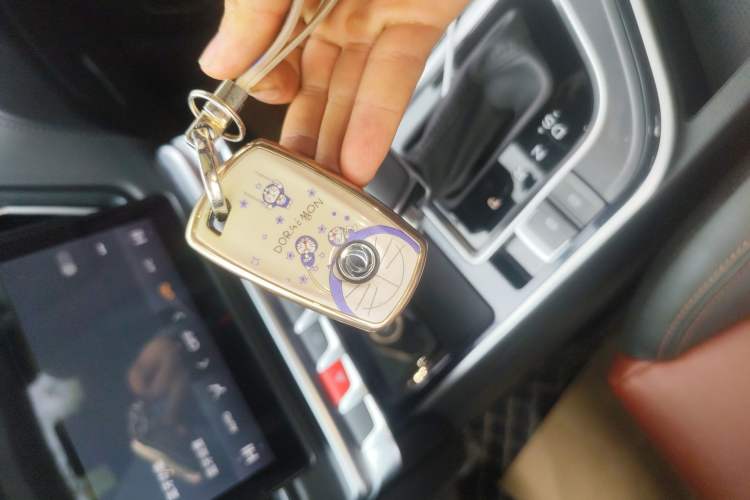 Used FORTHING T5L 2020 1.5T Automatic Luxury 7-Seater China VI Standard
