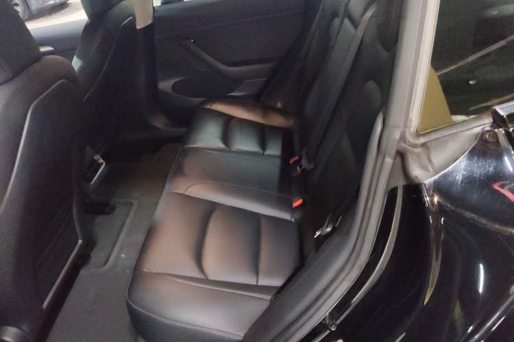 Used Tesla Model 3 2021 Standard Range Rear-Drive Upgraded Version