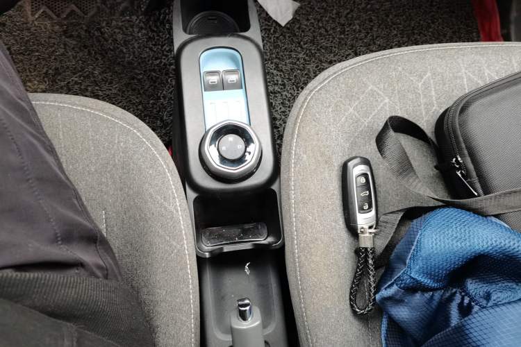 Used  Panda 2024 Panda Mini 200km Endurance Bear