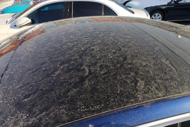 Used Tesla Model 3 2019 Standard Range Rear-Drive Upgraded Version
