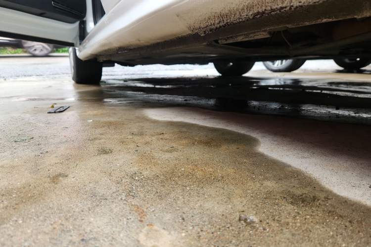 Used Volkswagen Sagitar 2018 1.6L Automatic Comfort Model