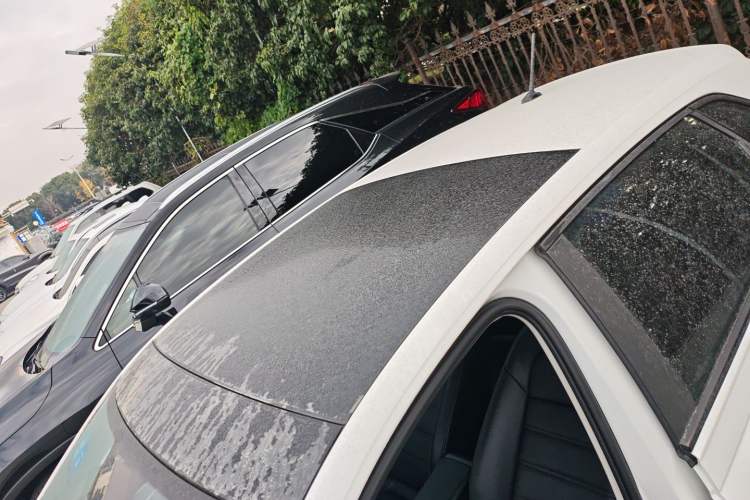 Used Volkswagen Polo 2019 Plus 1.5L Automatic Panoramic Enjoyment Edition