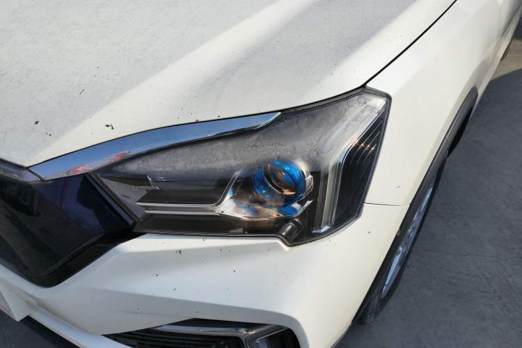 Used Venucia T60EV 2020 AI Enjoyment Model
