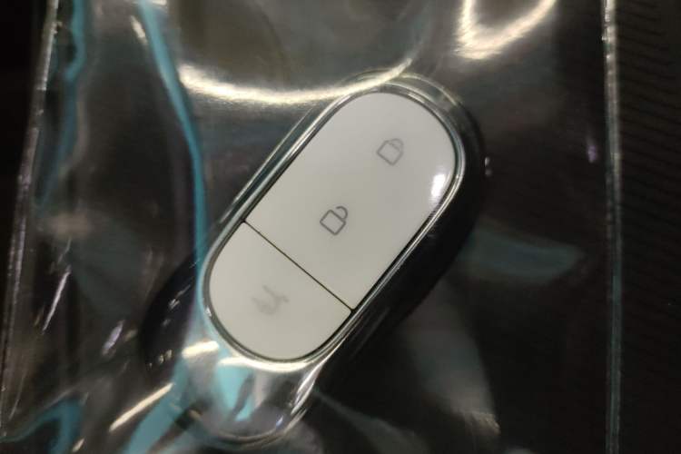 Used Leapmotor C01 2024 Pure Electric 525 Luxury Edition
