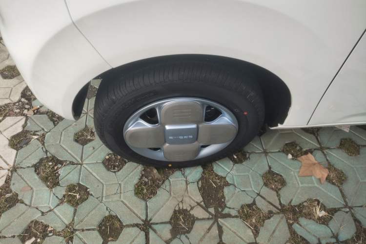 Used  Panda 2024 Panda Mini 200km Endurance Bear
