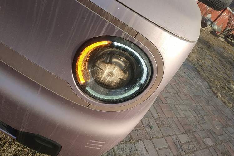 Used  Panda 2024 Panda Mini 200km Endurance Bear