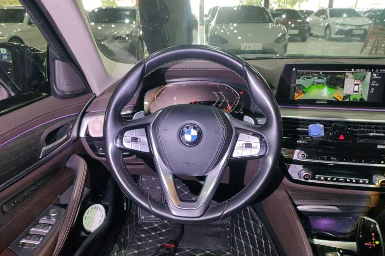 Used BMW 5 Series 2020 530Li Luxury Edition Premium Package
