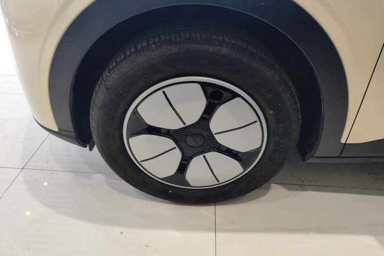 Used  Geome 2025 310km Youth Edition