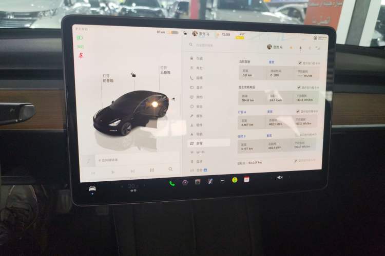 Used Tesla Model 3 2022 Rear-Wheel-Drive Version
