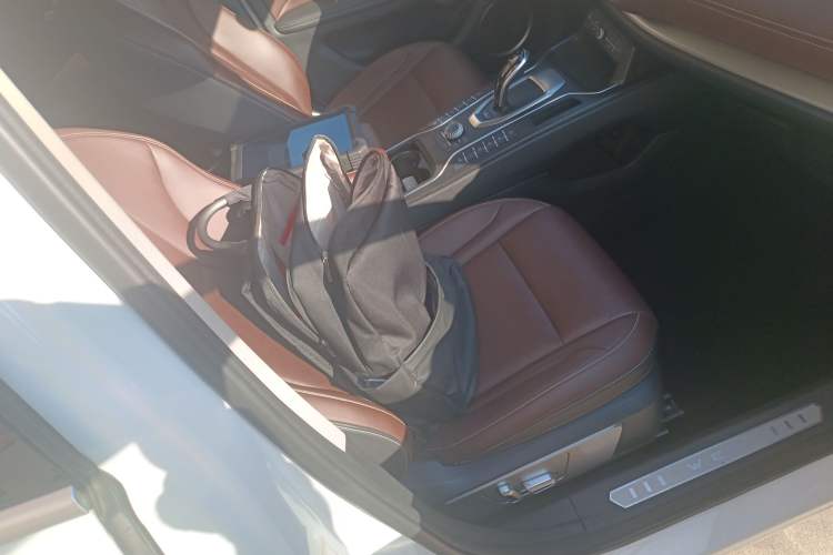 Used Wey VV6 2021 2.0T Two-Wheel Drive Smart Protection+
