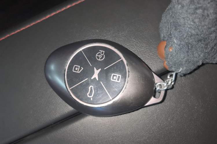 Used XPeng P7 2020 670N
