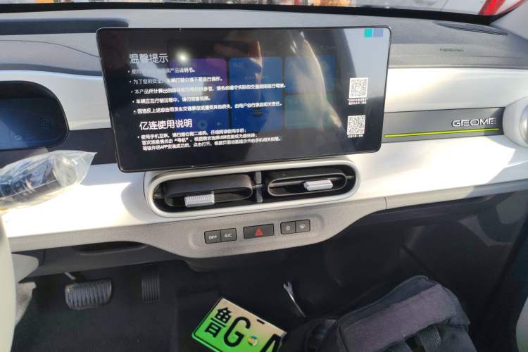 Used  Panda 2025 210 km – Yuanqi Bear
