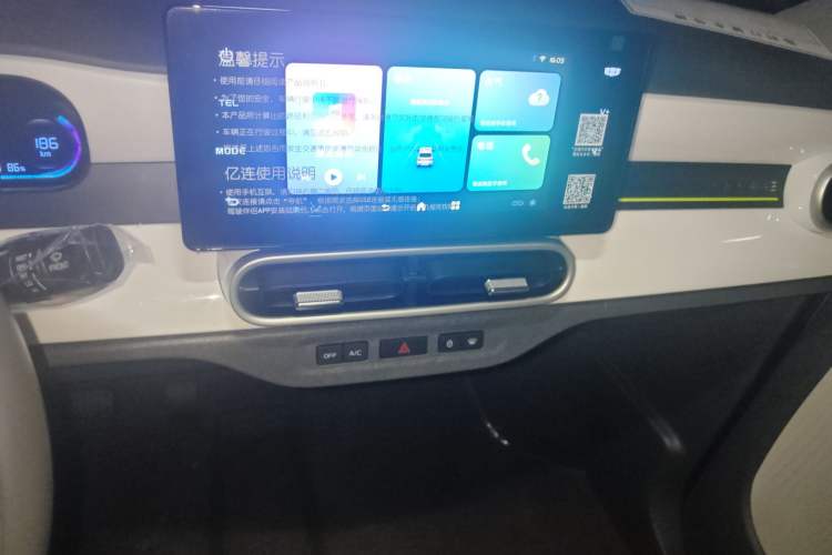 Used  Panda 2025 210 km – Yuanqi Bear
