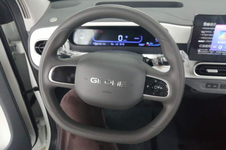 Used  Panda 2025 210 km – Yuanqi Bear
