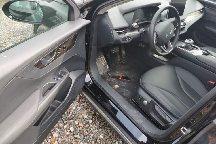 Used Hongqi E-QM5 2023 Revised Version Basic Travel Edition
