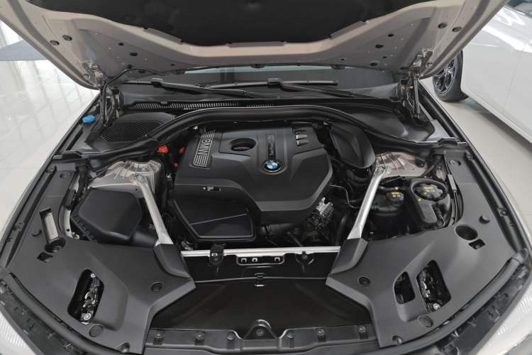 Used BMW 5 Series 2019 530Li Leading Model Luxury Package
