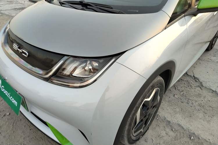 Used BYD Dolphin 2021 405 km Free Version
