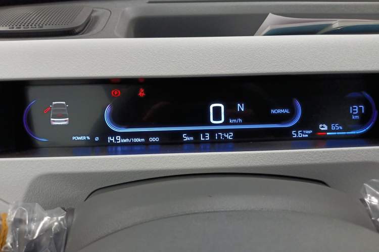 Used  Panda 2024 Panda Mini 200km Endurance Bear
