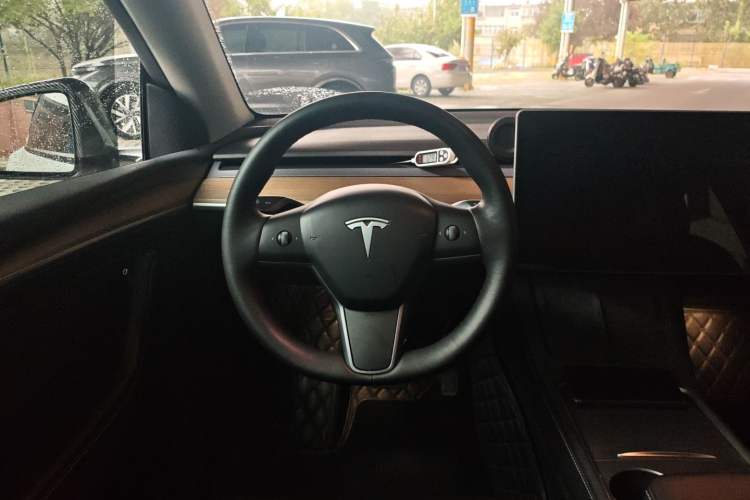 Used Tesla Model Y 2021 Standard Range Rear-Wheel Drive Version
