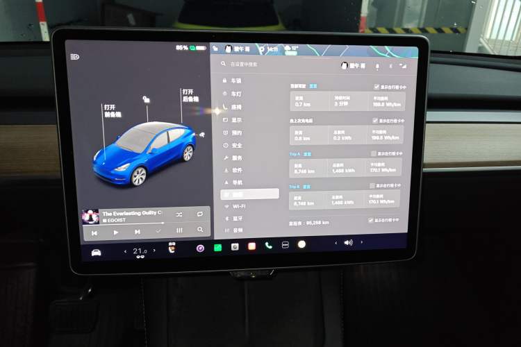 Used Tesla Model Y 2021 Standard Range Rear-Wheel Drive Version
