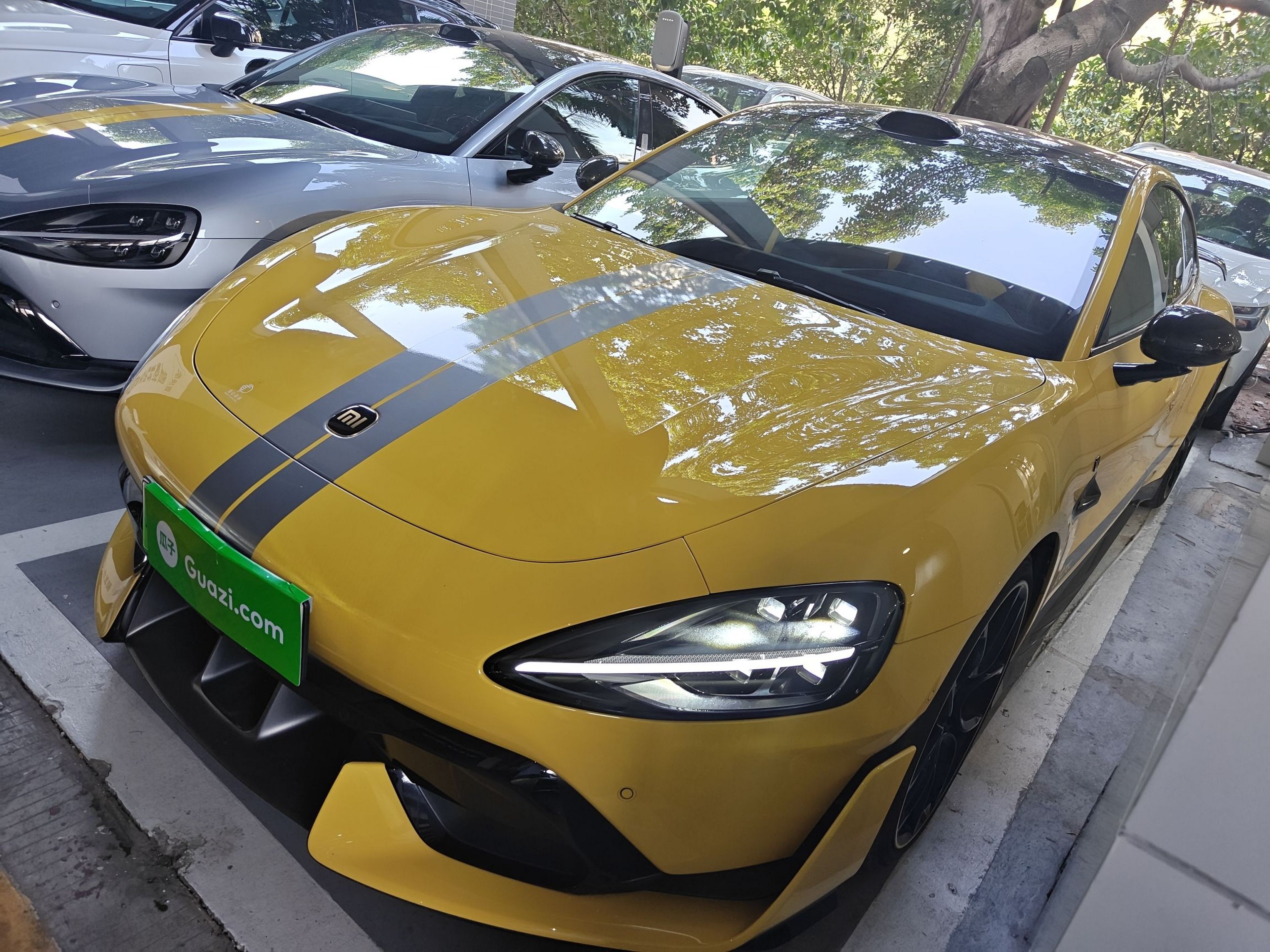 تحت مقدمة السيارة