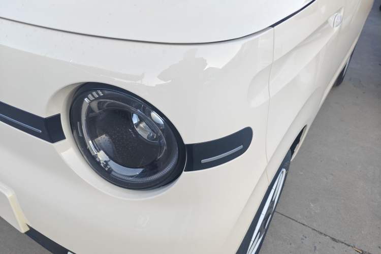 Used  Panda 2025 210 km – Yuanqi Bear
