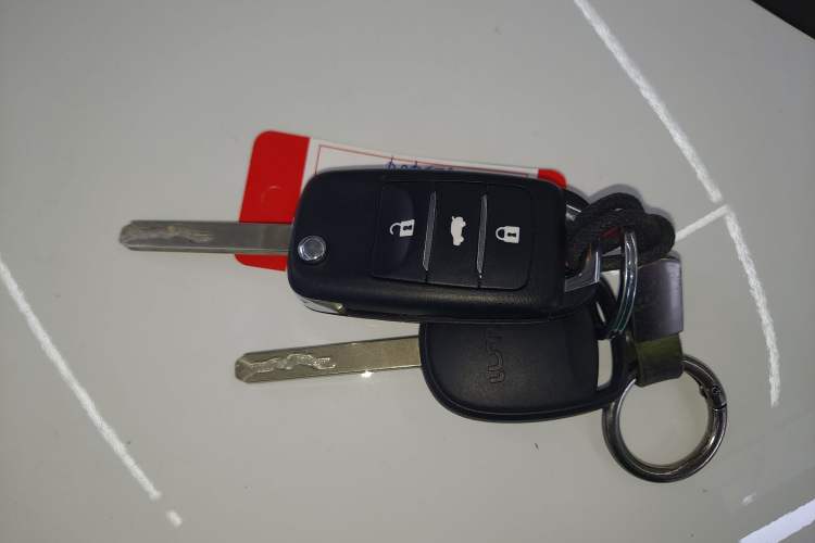 Used  Lumin 2023 205km Xiangqin Version