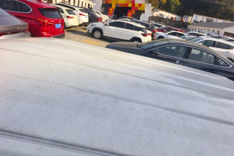 Used  Panda 2024 Panda Mini 200km Endurance Bear
