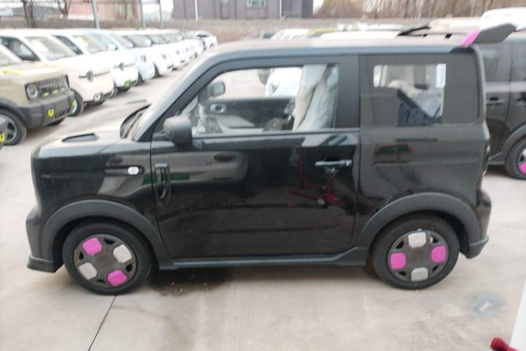 Used  Panda 2025 210km Panda Kart
