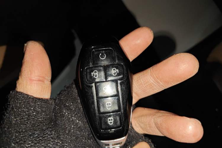 Used Denza D9 2025 DM-i Intelligent Drive 1020 Four-Wheel Drive Flagship Model