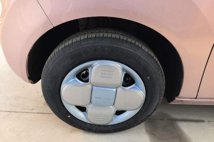 Used  Panda 2024 Panda Mini 200km Endurance Bear
