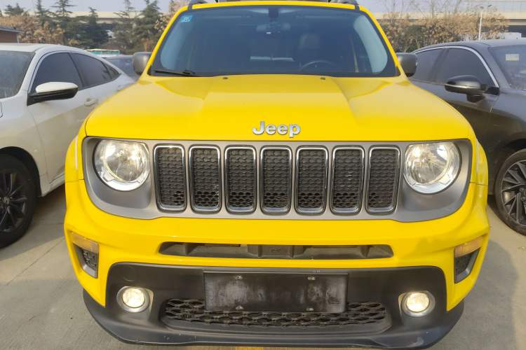 Used  Renegade 2019 220T Automatic Elite Edition
