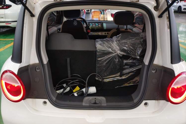 Used Qiyuan Lumin 2023 205km Xiangqin Version
