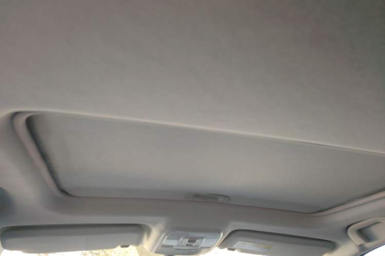 Used Leopaard CS10 2017 2.0T Automatic Urban Version
