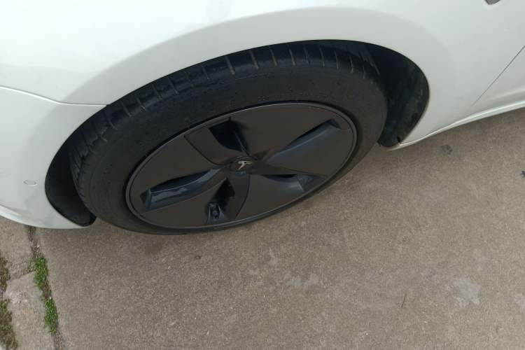 Used Tesla Model 3 (Import) 2019 Standard Range Rear-Wheel Drive Upgraded Version (60 kWh)
