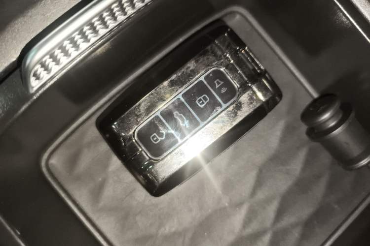 Used Tank 300 2024 2.0T Conqueror