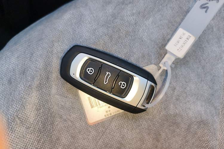 Used  Panda 2024 Panda Mini 200km Endurance Bear
