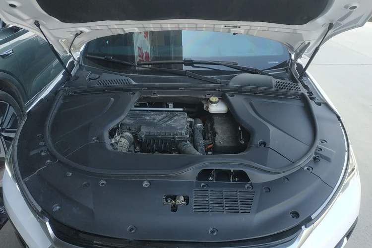 Used BYD Tang New Energy 2023 DM-i Champion Edition 112KM Prestige Model
